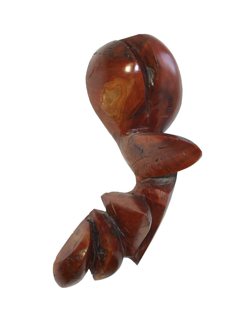 Expressive Botanical Relief By George Troyanov, 14 X 28, Germination, Original Artwork