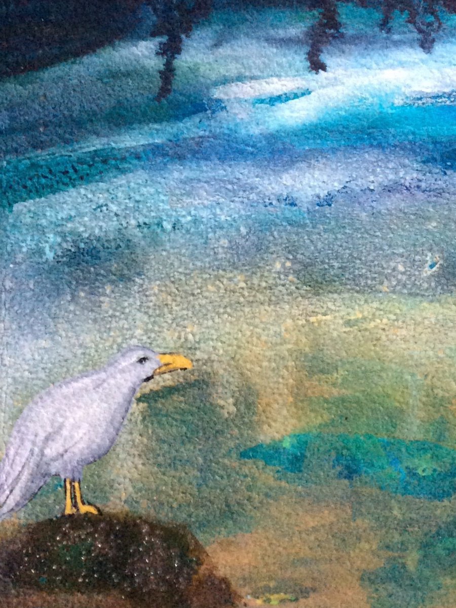 Gull on a rock by Gwen Fleming