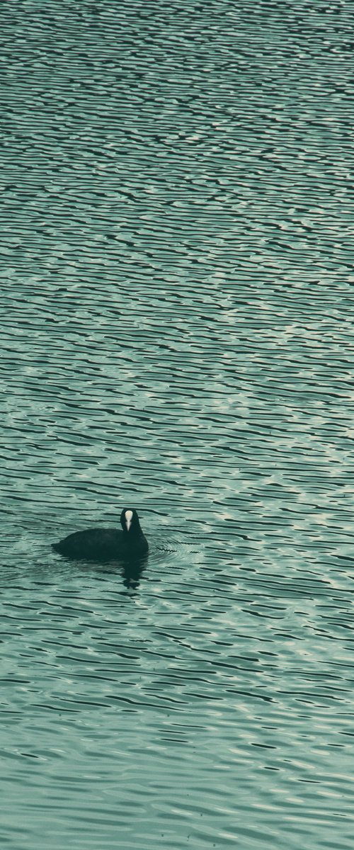 A Dark Figure in Teal by Kristine Okuneva