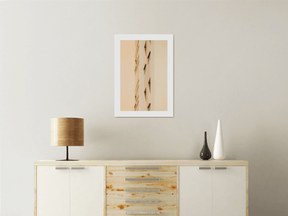 Wallscape 275