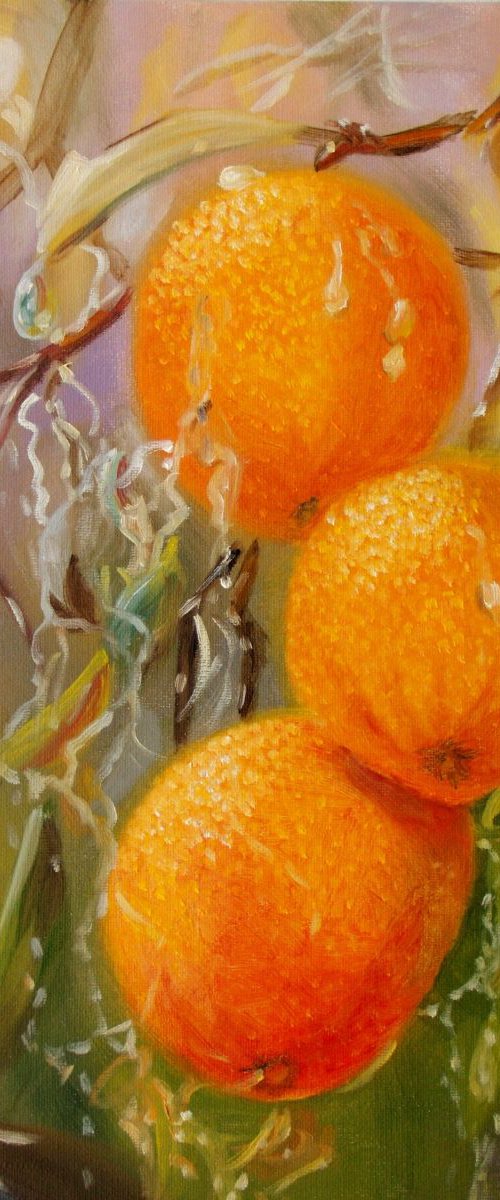 Oranges by Elena Sokolova