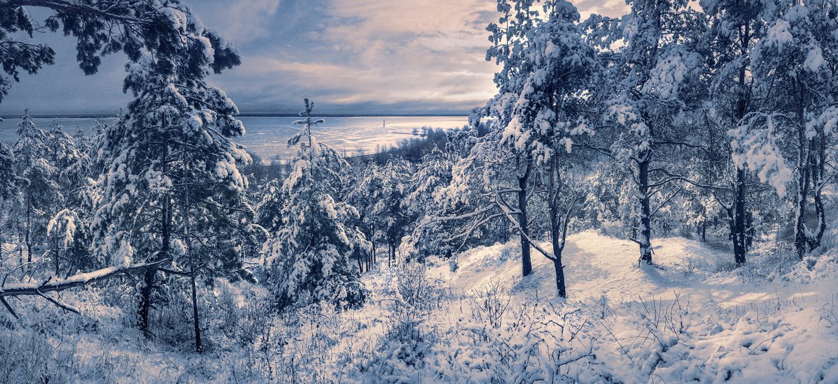 Impressionistic Landscape Photograph By Valerix, 47 X 22", It Snowed In The Morning., Original Artwork