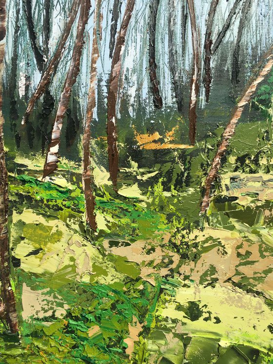 The forest in spring