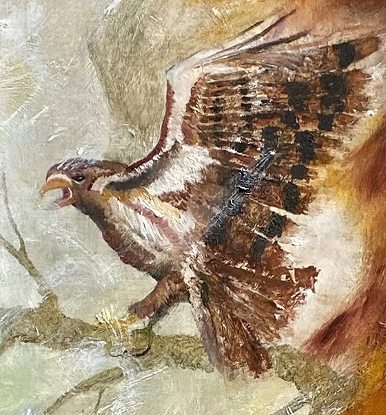 Rapace