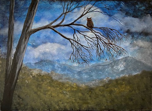 The Night Owl by Heather Matthews