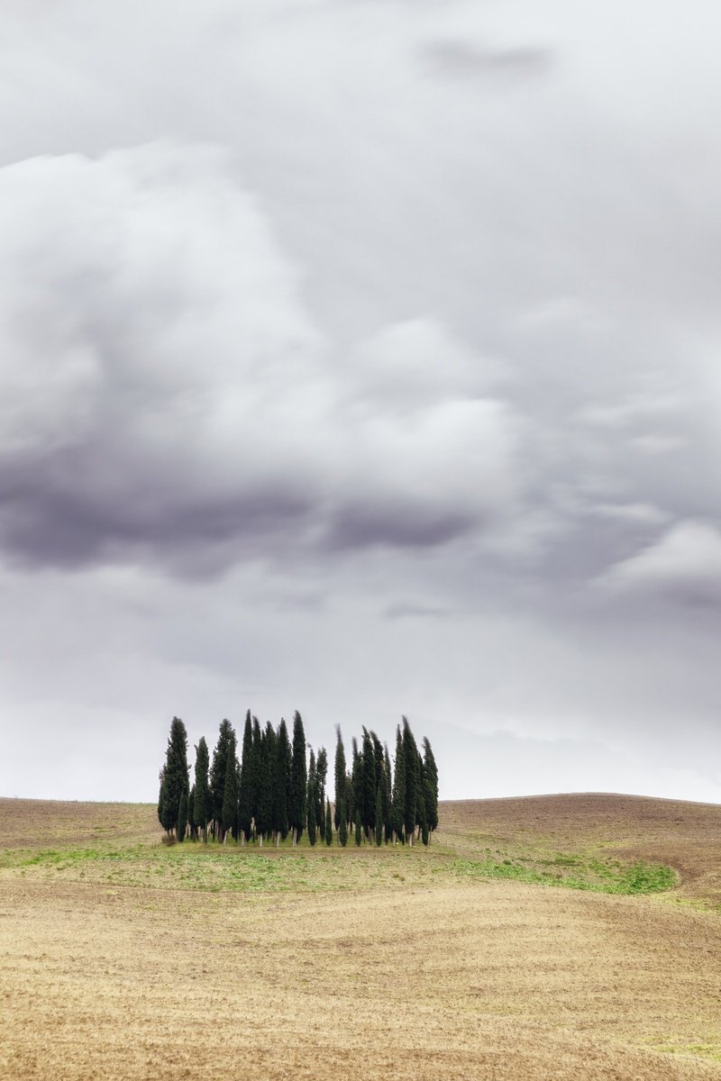 Impressionistic Landscape Photograph By Karim Carella, 26 X 37", I Cipressini (Studio 5), Original Artwork