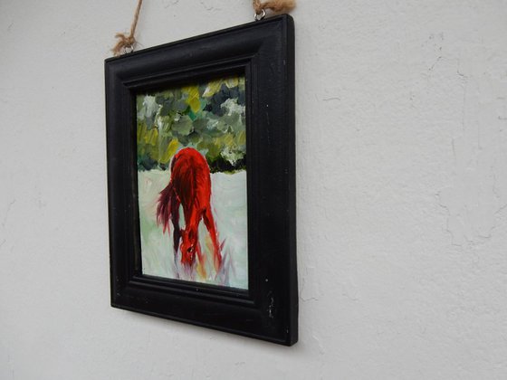 Red horse in a field. small framed painting.