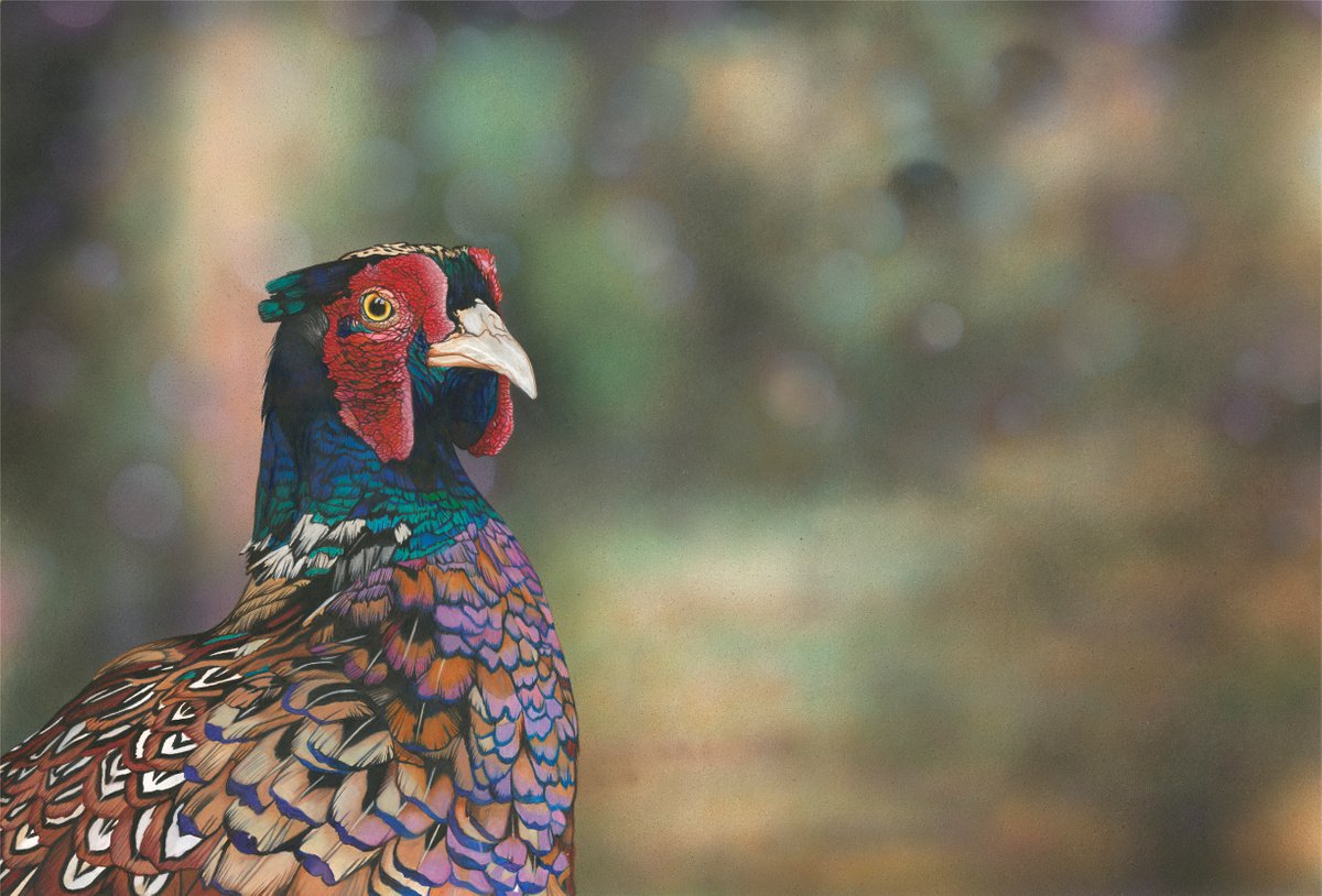 Photorealistic Painting , Pheasant Life By Irsa Ervin, 26 X 18, Artwork For Sale On Artfinder
