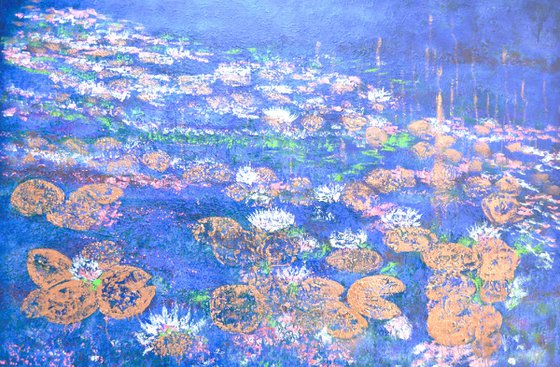 The Midnight Waterlilies