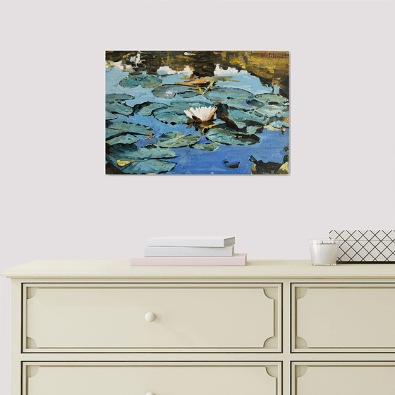 Waterlilies