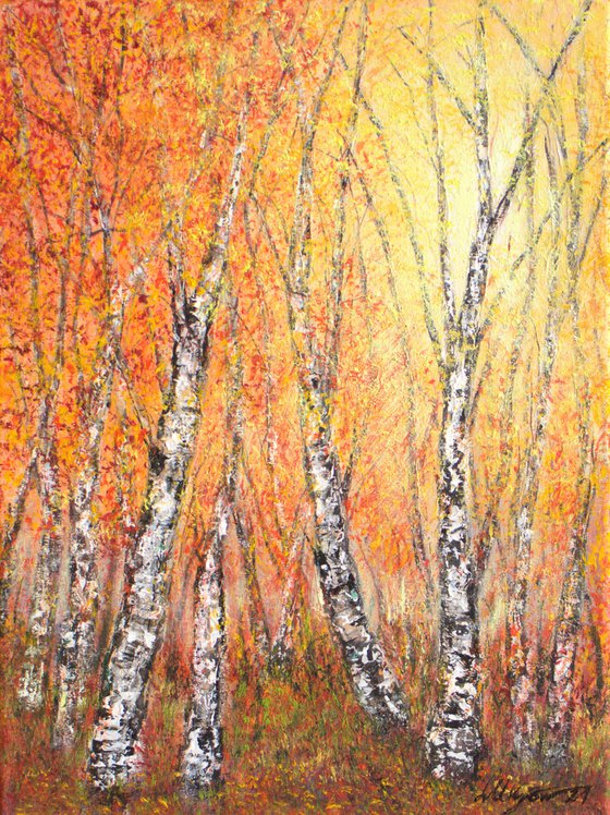 Autumn birch trees 2