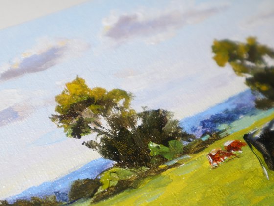 Cows by the River, Sunny Day