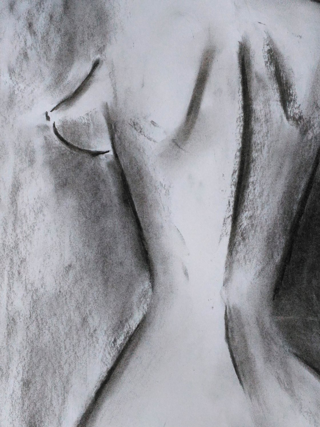 female nude 4924 Original artwork charcoal drawing