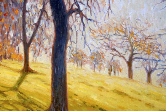 Autumn orchard
