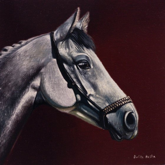 Horse Portrait 34