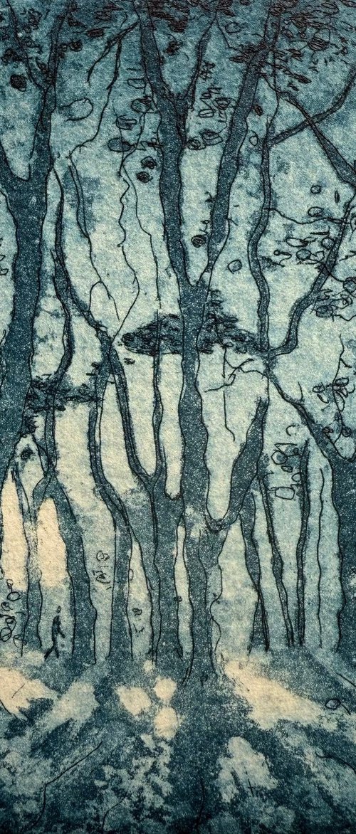 Highgate Wood by Rebecca Denton