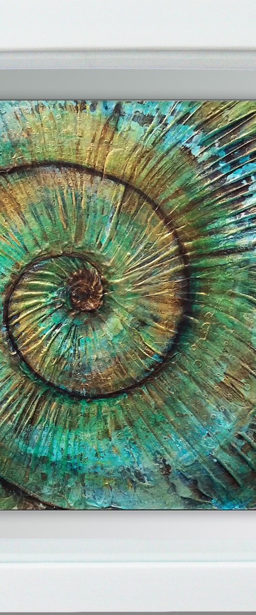 Ammonite by Carolynne Coulson