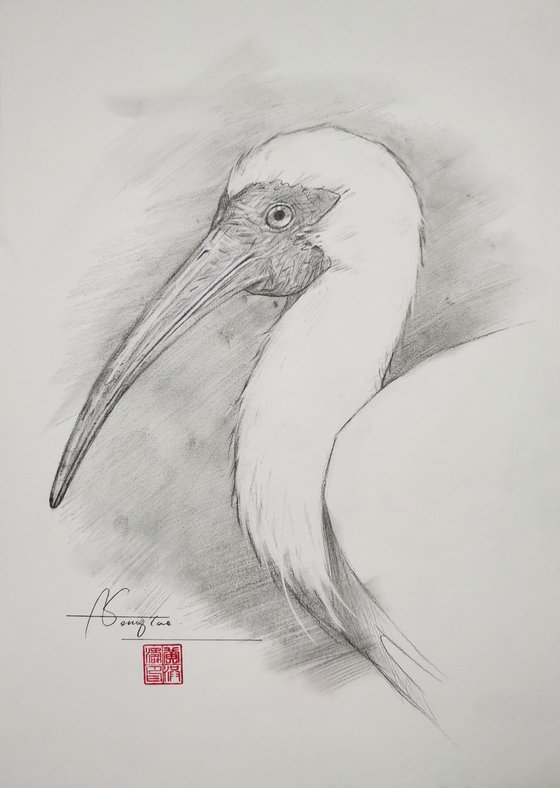 Crested Ibis #20902