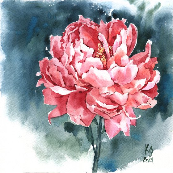 Modern watercolor "Bright red coral peony"  original watercolor illustration