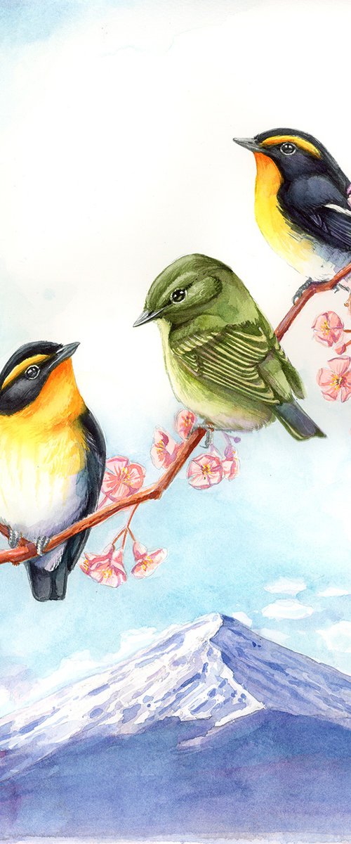Narcissus Flycatchers - Commission by Karolina Kijak