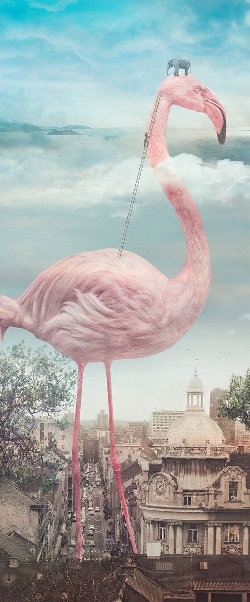 What Else is Out There? - edition of 7 by Nikolina Petolas