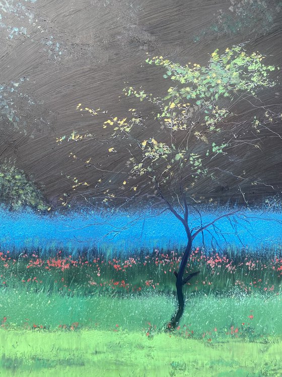 Spring Blossoms