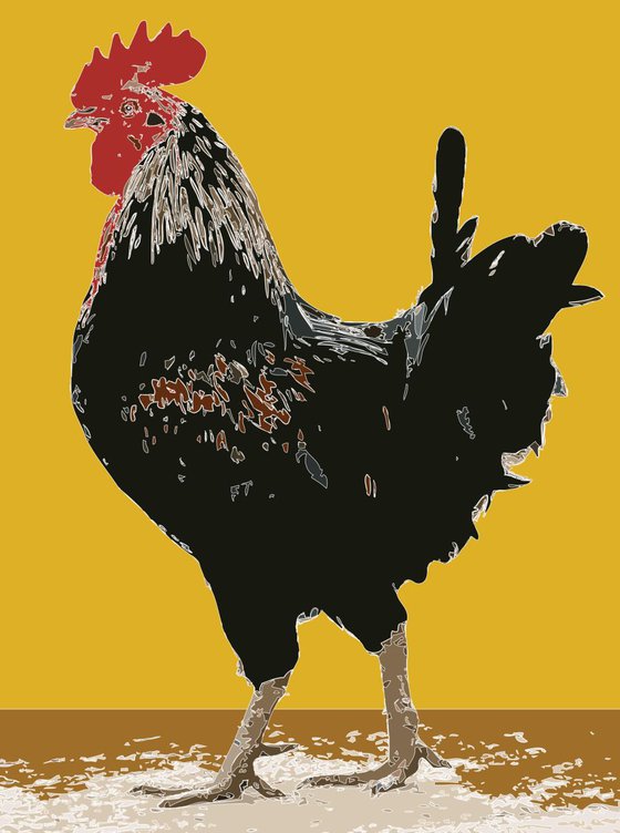 Spanish Cockerel