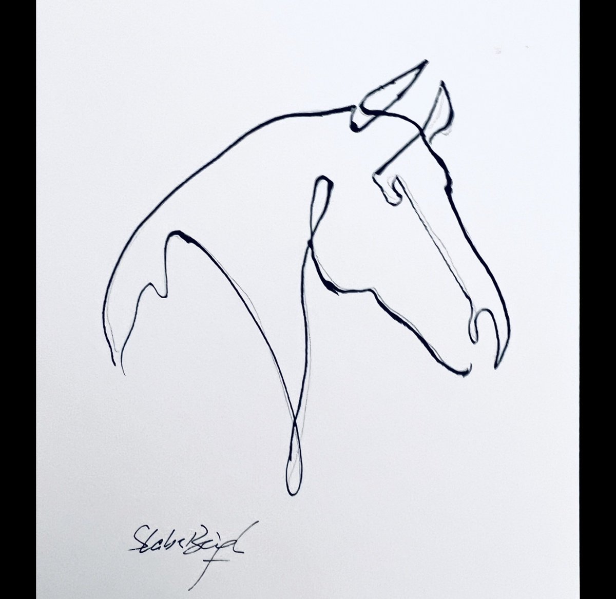 Illustrative Animal Ink Drawing By Shabs Beigh, 14 X 14", Minimalist Horse Head In Ink, Original Artwork