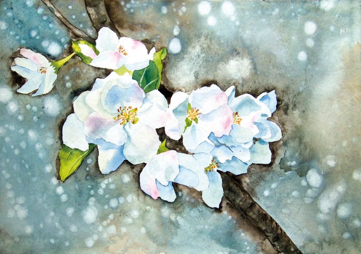 Apple Blossoms 1 by Anna Masiul-Gozdecka