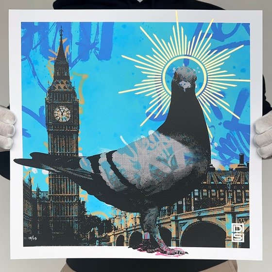 Pigeon ~ Blue