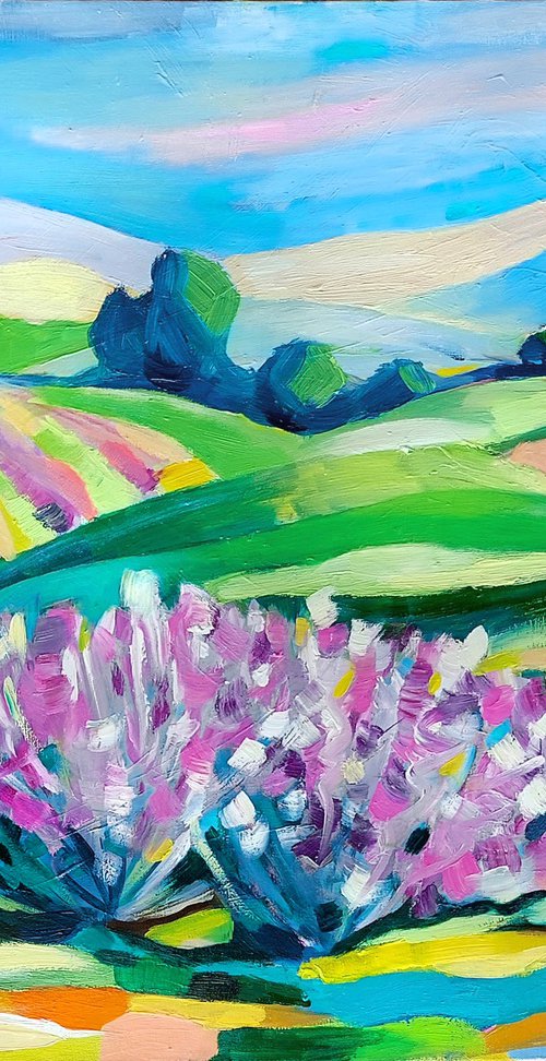 Lavender fields by Angelina Doseva