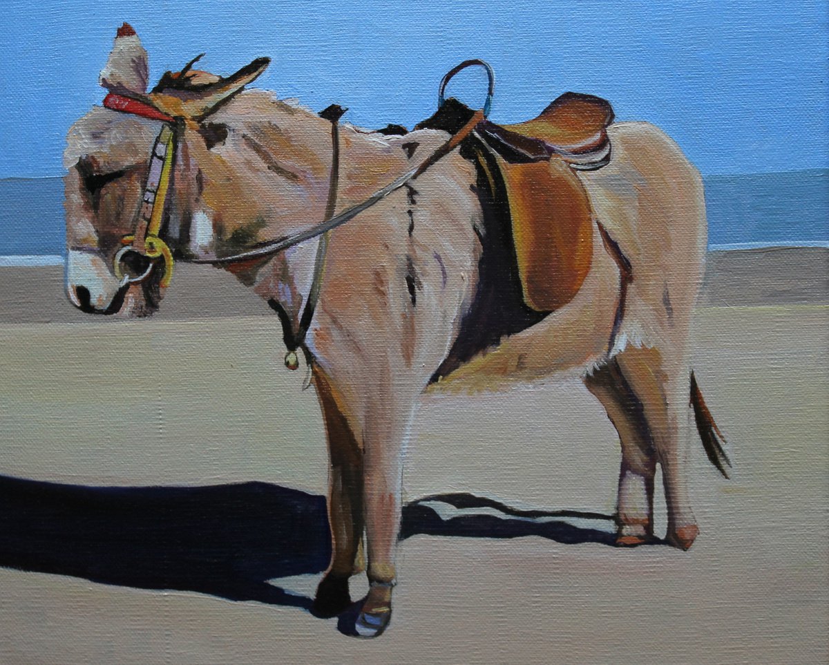 Donkey On The Beach by Emma Cownie