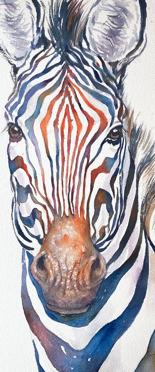 Blue Zebra Jim by Arti Chauhan