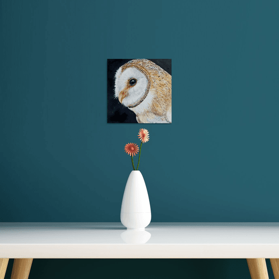 Golden Boy_ Barn Owl