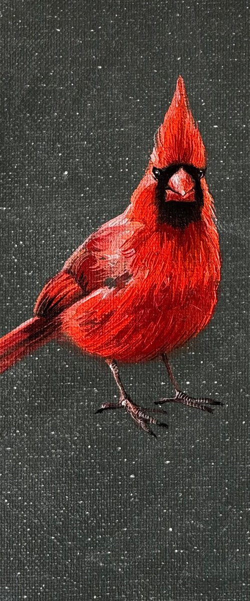 Cardinal reminder by Nataly Derevyanko