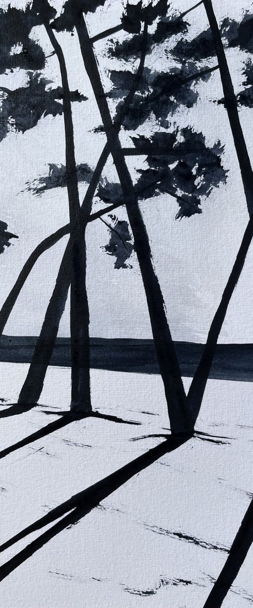 Cap Coz by Cadiou Frederic