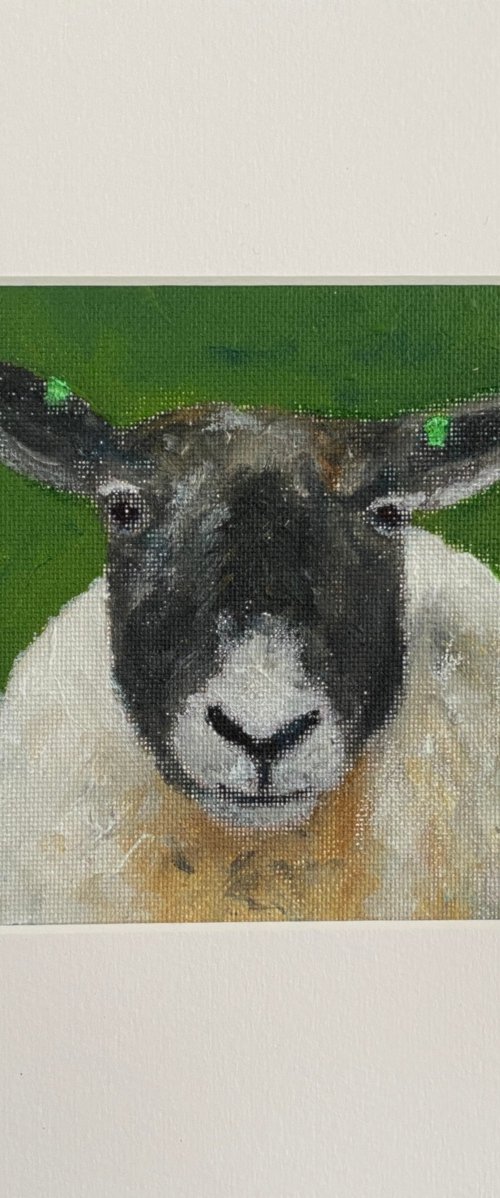 Happy Sheep! by Teresa Tanner