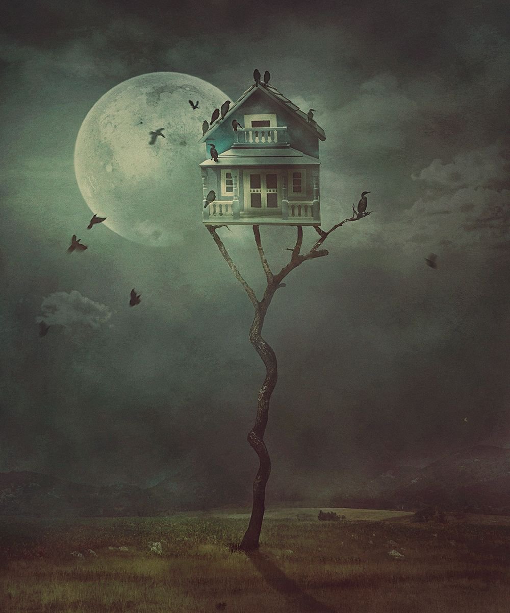 Surrealistic Animal Photograph By Nikolina Petolas, 31 X 37", Bird House - Night Gathering, Original Artwork