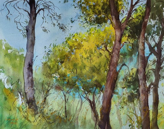 Dalmatian pine trees | Croatia Original watercolor painting