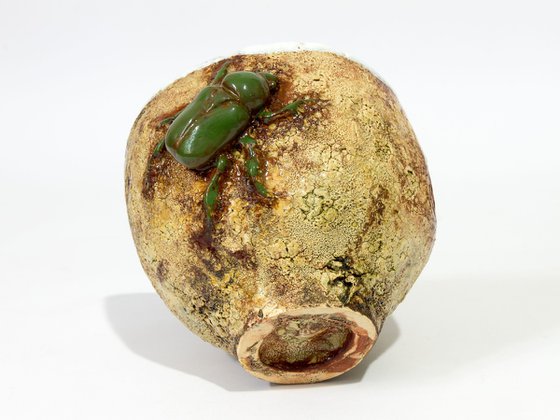 Beetle