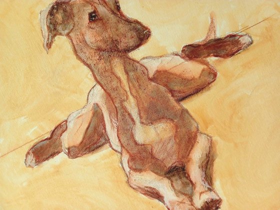 Frog Legs (Whippet)!