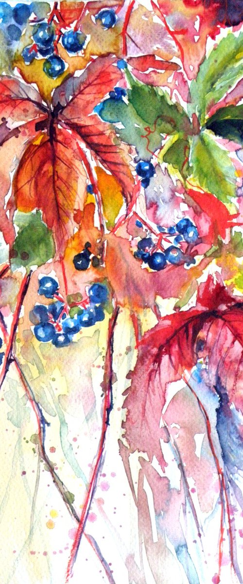 Wildgrapes by Kovács Anna Brigitta