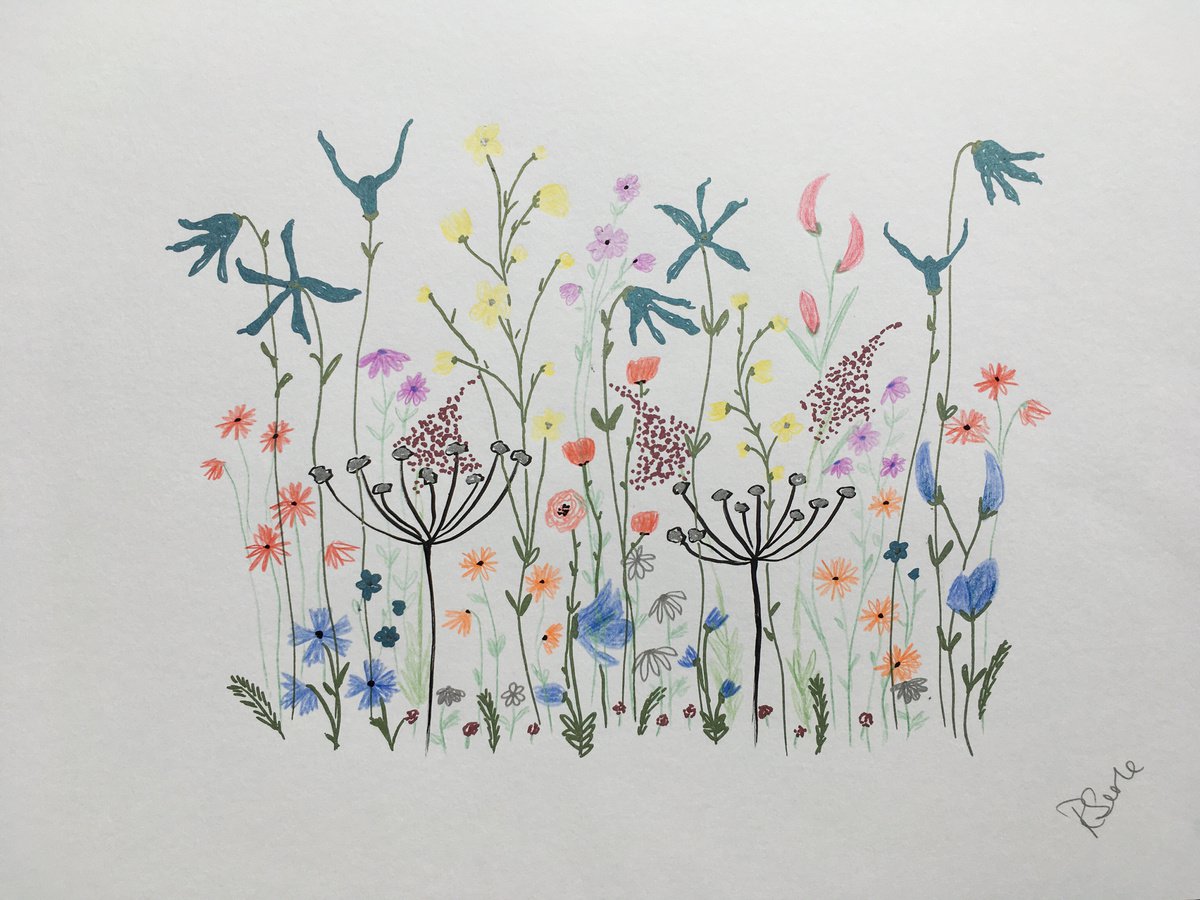 Flower meadow by Ruth Searle