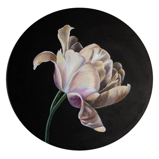 Lovely tulip / Botanical oil painting