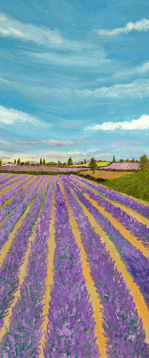English Lavender by Andrew Cottrell