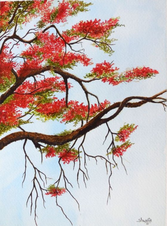 Flame Tree Branch