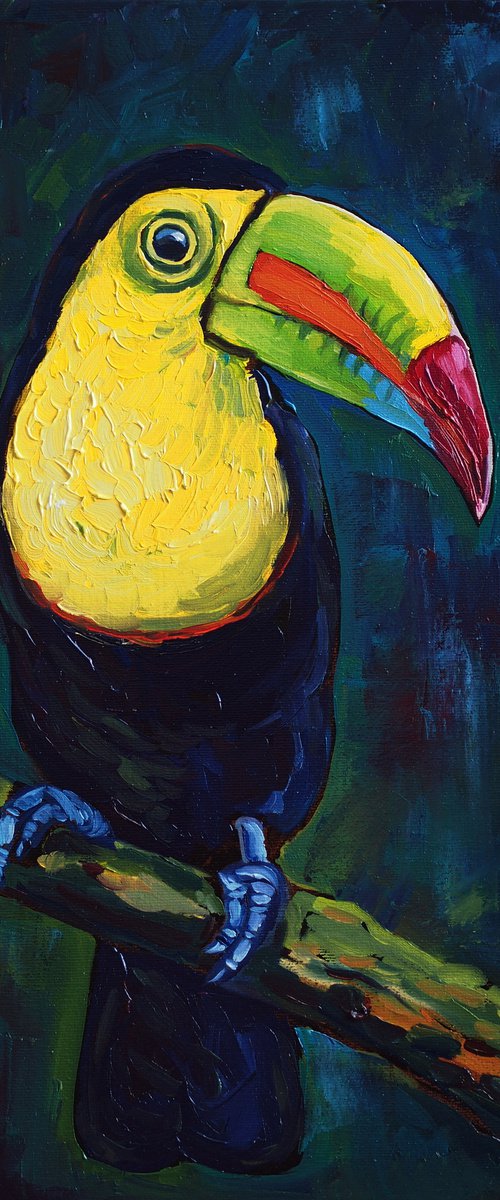 Rainbow-billed toucan by Alfia Koral