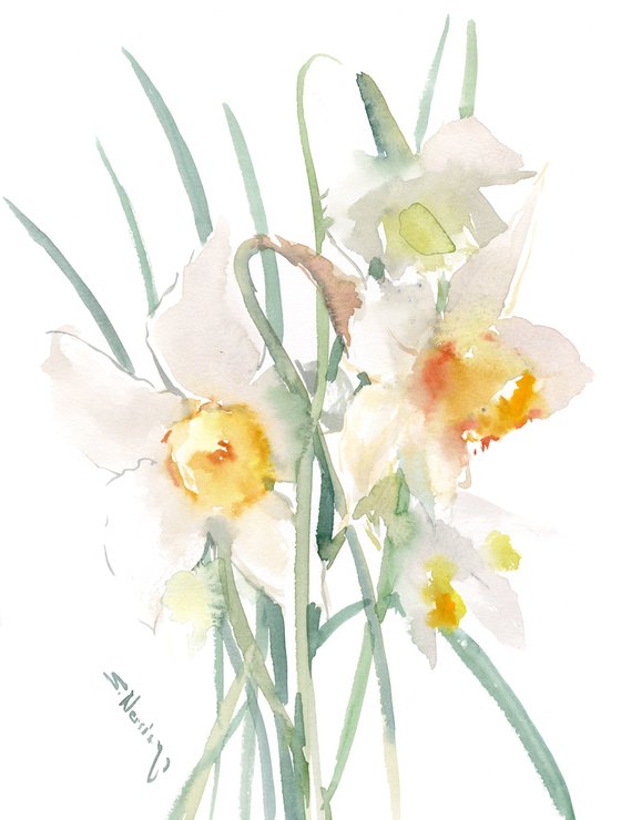 White Daffodil Flowers