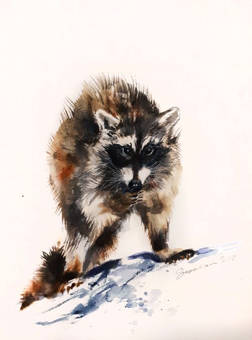 Raccoon II /  ORIGINAL WATERCOLOR  PAINTING by Salana Art Gallery