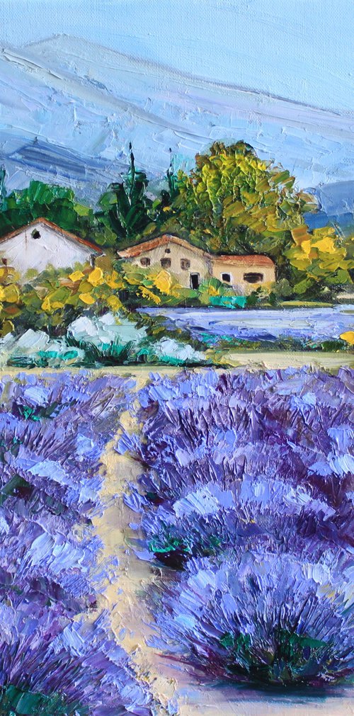 Provence lavender fields oil painting on canvas 38x46cm impasto by Leysan Khasanova